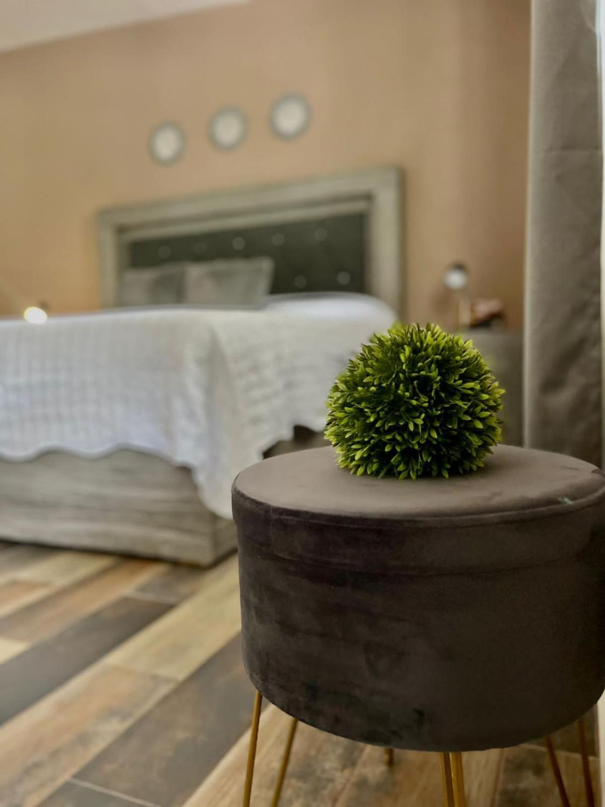 Cabanas, Suites Y Habitaciones Rancho San Jorge แบร์นัล ภายนอก รูปภาพ